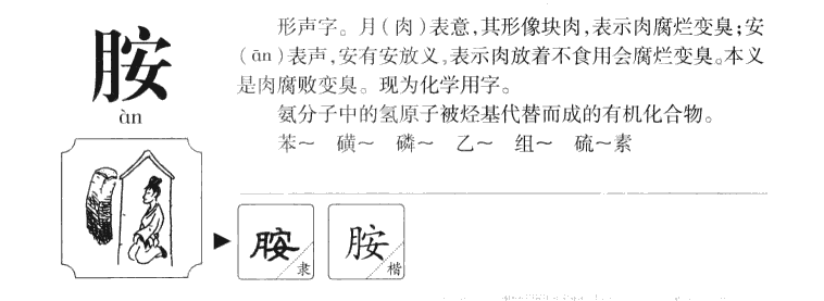 胺字字源字形