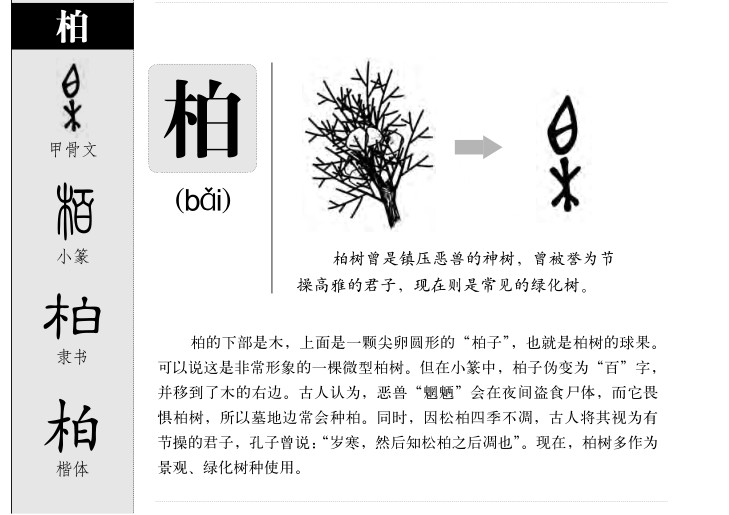 柏字字源字形