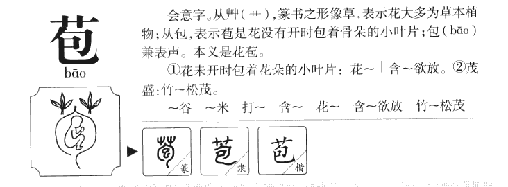苞字字源字形