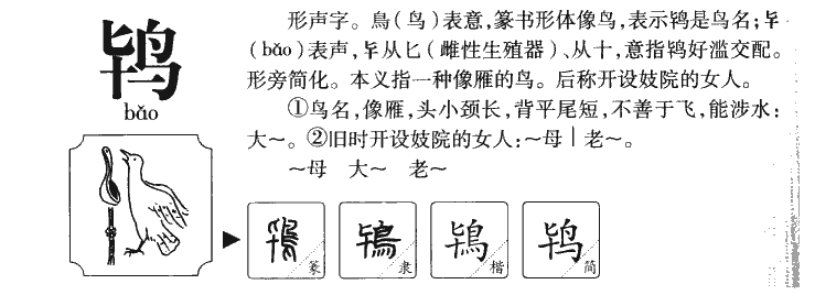 鸨字字源字形