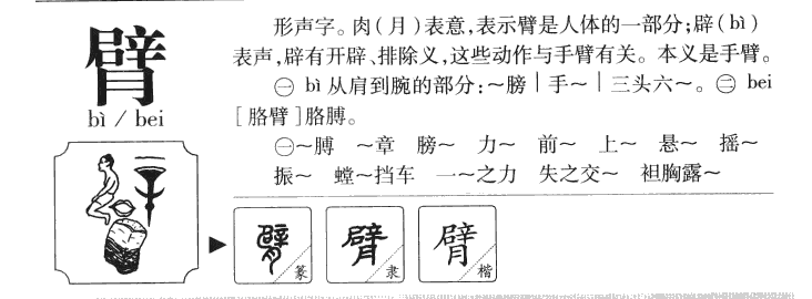 臂字字源字形