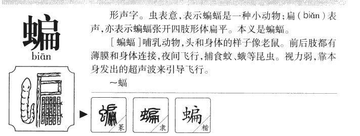 蝙字字源字形