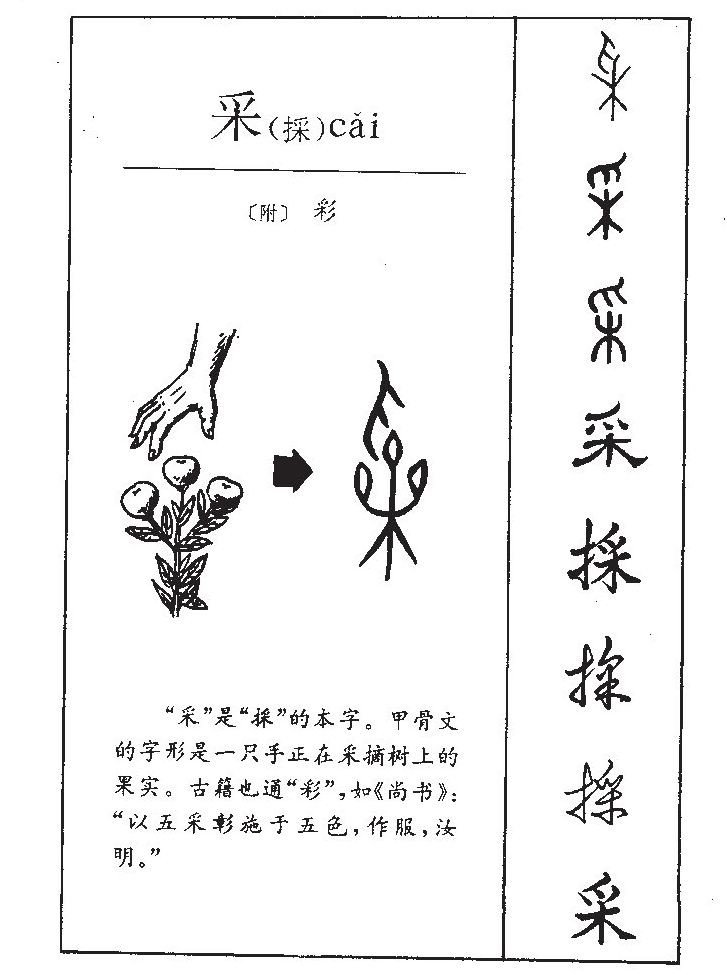 采字字源字形