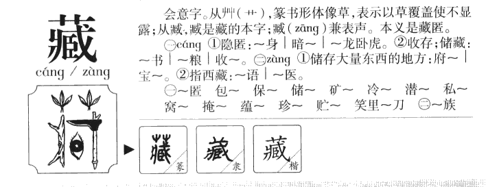 藏字字源字形