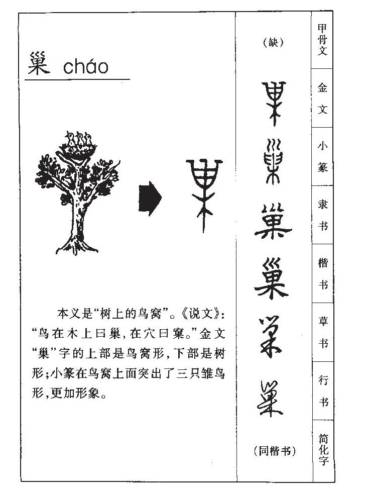 巢字字源字形