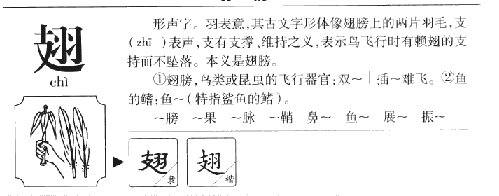 翅字字源字形