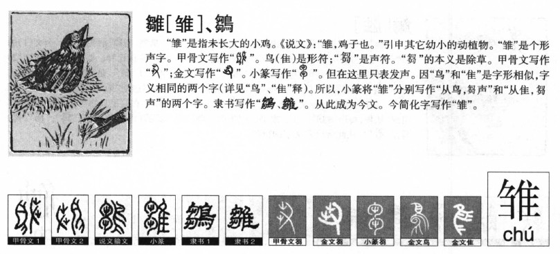 雏字字源字形