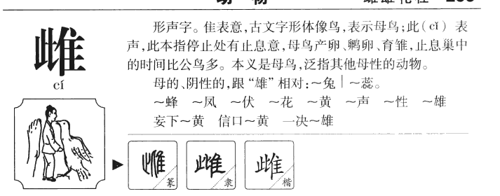 雌字字源字形