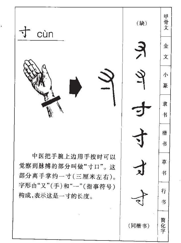 寸字字源字形