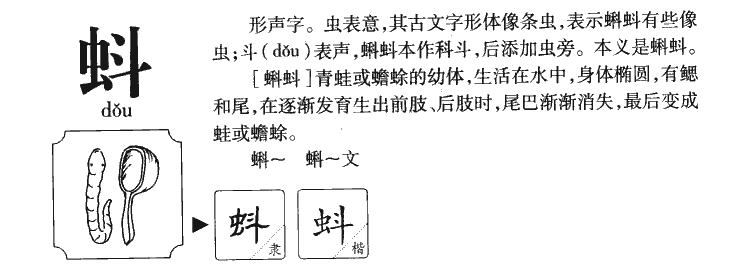 蚪字字源字形