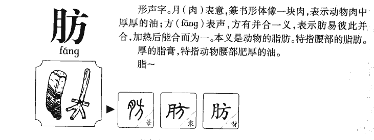 肪字字源字形