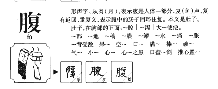 腹字字源字形