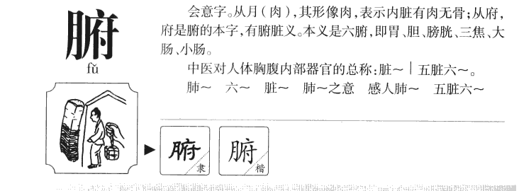 腑字字源字形