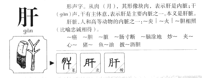 肝字字源字形
