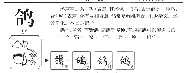 鸽字字源字形