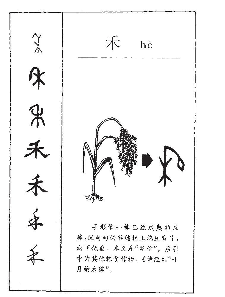 禾字字源字形