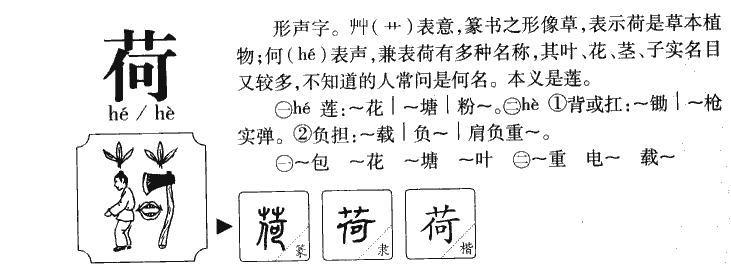 荷字字源字形