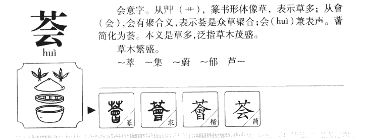 荟字字源字形