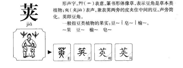 荚字字源字形