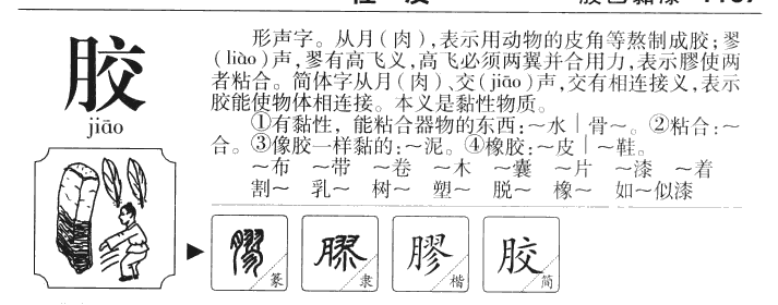 胶字字源字形