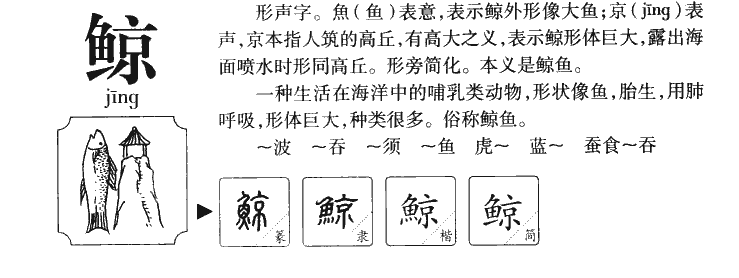 鲸字字源字形