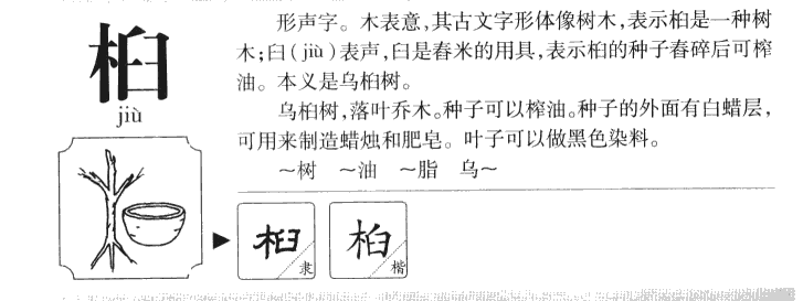 桕字字源字形