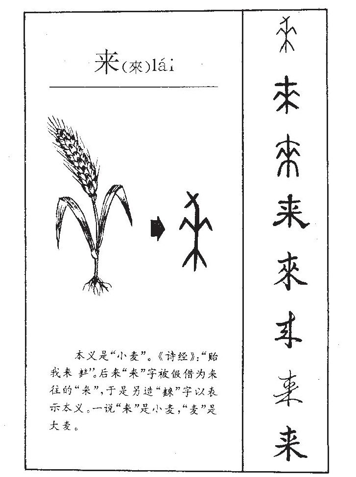 来字字源字形