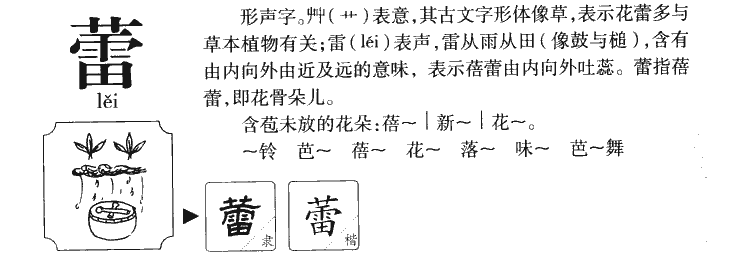 蕾字字源字形