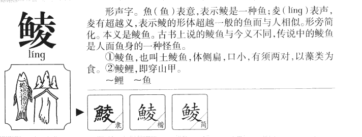 鲮字字源字形