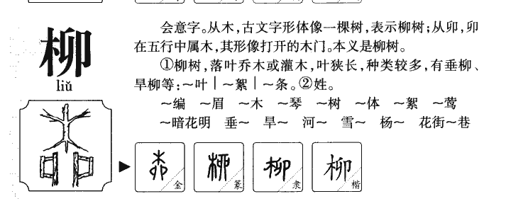 柳字字源字形