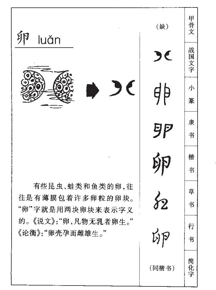 卵字字源字形