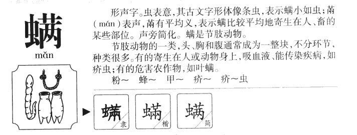 螨字字源字形