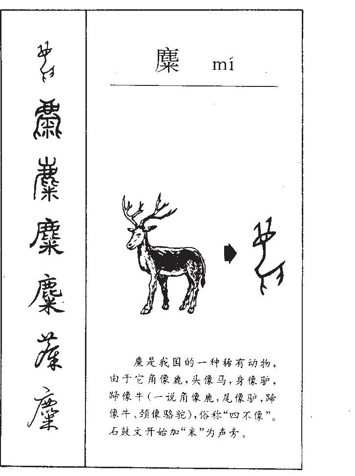 麋字字源字形