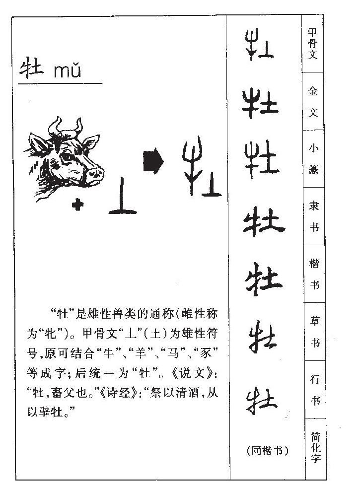 牡字字源字形