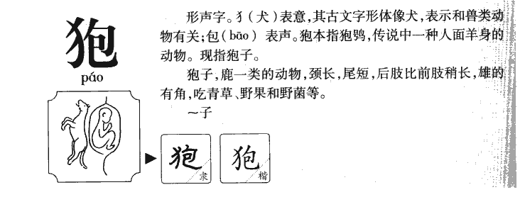 狍字字源字形