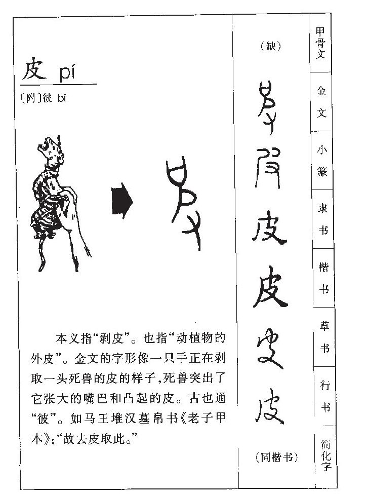 皮字字源字形