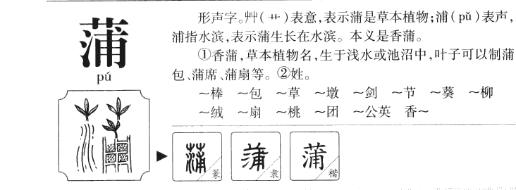 蒲字字源字形