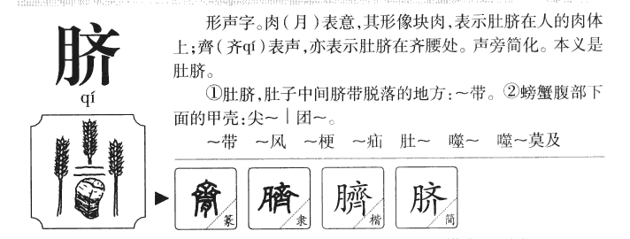 脐字字源字形