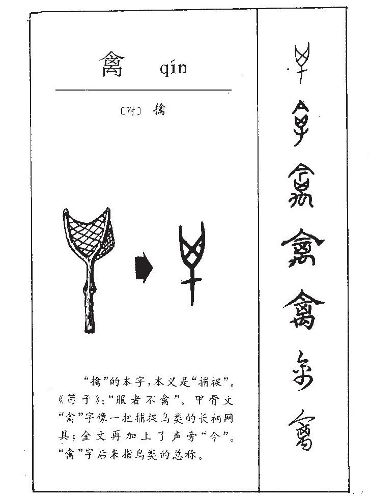 禽字字源字形