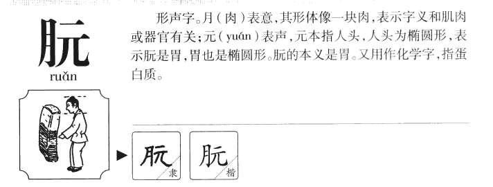 朊字字源字形