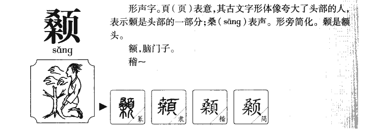 颡字字源字形