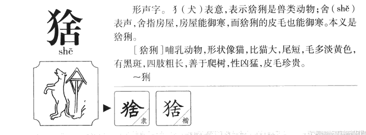 猞字字源字形