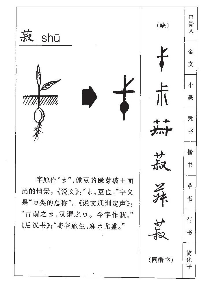 菽字字源字形