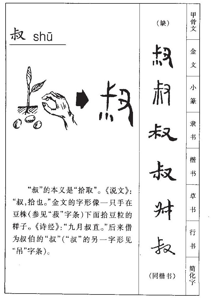 叔字字源字形