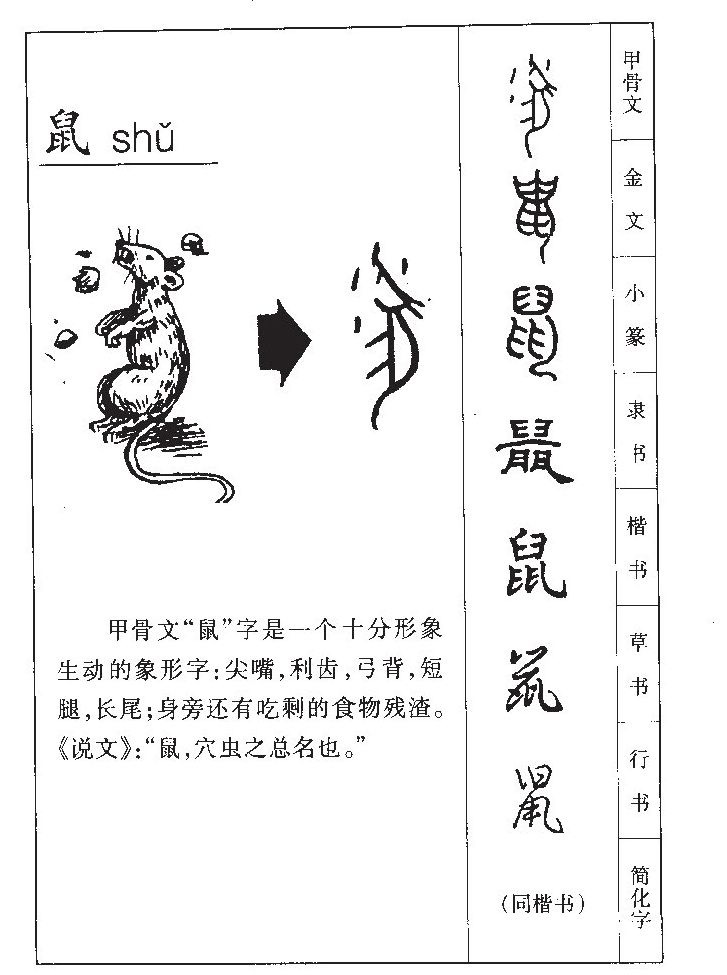 鼠字字源字形