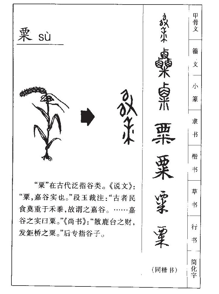 粟字字源字形