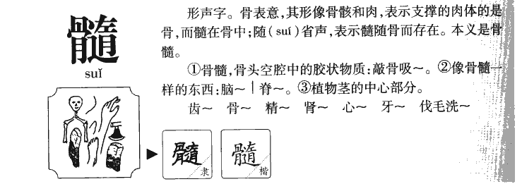 髓字字源字形