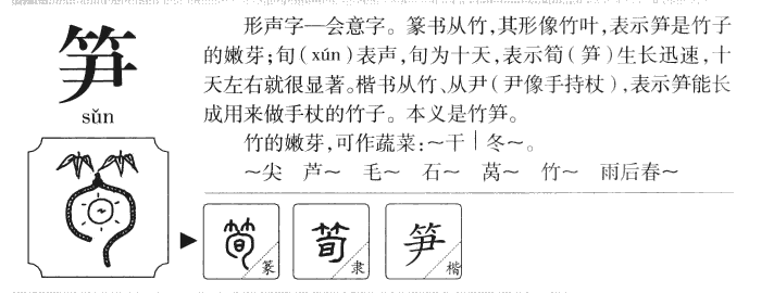 笋字字源字形