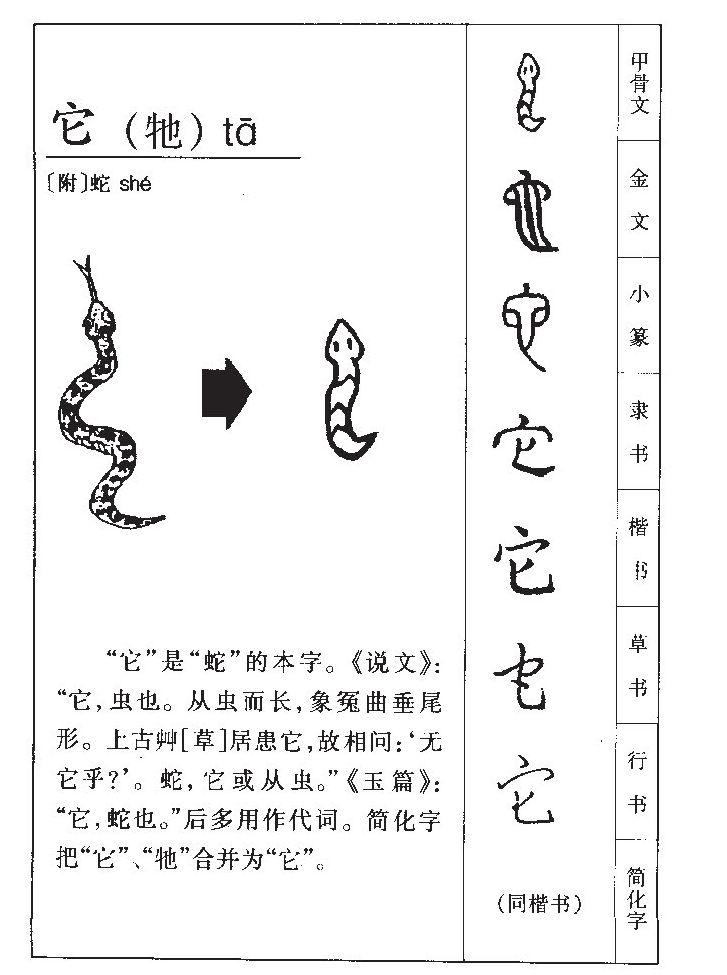 它字字源字形