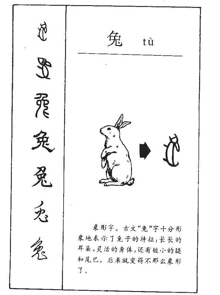 兔字字源字形